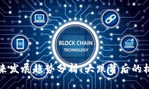 狗狗币未来发展趋势分析：大跌背后的机遇与挑战