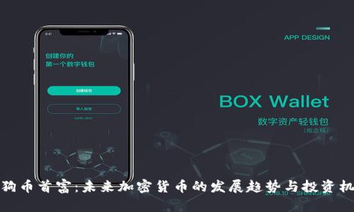 狗狗币首富：未来加密货币的发展趋势与投资机会
