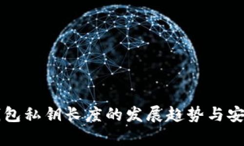 以太坊钱包私钥长度的发展趋势与安全性解析