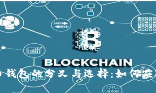 未来数字货币钱包的分叉与选择：如何应对变化的趋势
