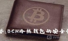 未来的发展趋势：BCH冷热