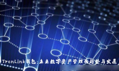 TronLink钱包：未来数字资产管理的趋势与发展