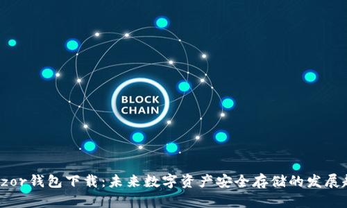 Trezor钱包下载：未来数字资产安全存储的发展趋势