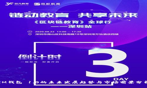 IM钱包 1.0的未来发展趋势与市场前景分析