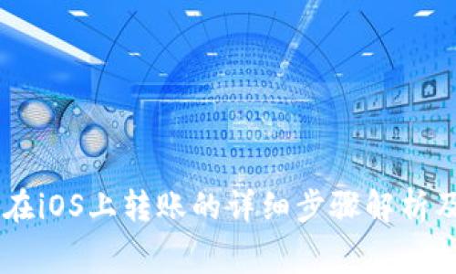 Doge钱包在iOS上转账的详细步骤解析及注意事项