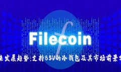 未来发展趋势：支持BSV的