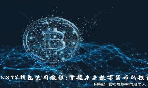 未来币（NXT）钱包使用教程：掌握未来数字货币的投资与管理
