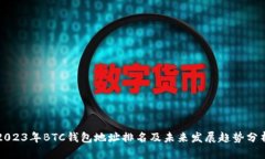 2023年BTC钱包地址排名及未