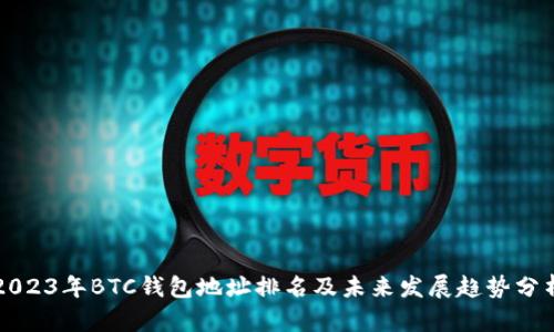 2023年BTC钱包地址排名及未来发展趋势分析