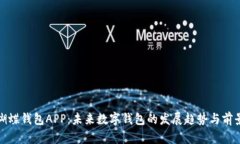 蝴蝶钱包APP：未来数字钱