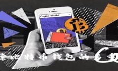 多元化管理：探索比特币