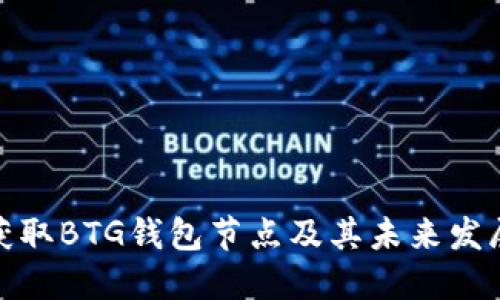 如何获取BTG钱包节点及其未来发展趋势