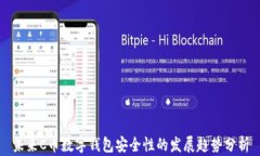 未来C币数字钱包安全性的