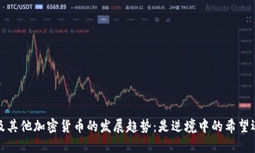 2024年狗狗币及其他加密货币的发展趋势：是逆境中的希望还是泡沫的破灭？