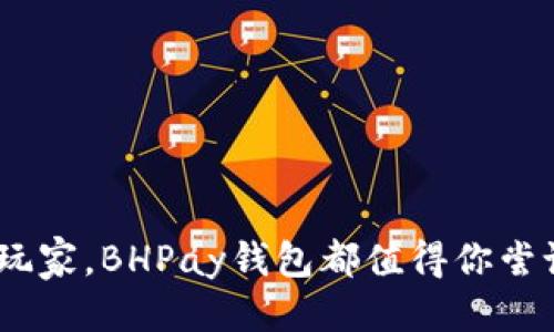 BHPay钱包是什么

BHPay钱包是一种数字钱包，旨在为用户提供一种安全、便捷的数字资产管理方式。它可以让用户存储、管理和交易多种虚拟货币，如比特币、以太坊和其他代币。BHPay钱包不仅支持典型的数字货币交易，还提供一系列附加服务，如支付、转账、资产跟踪等。

BHPay钱包的主要功能

BHPay钱包的主要功能包括但不限于：

ul
    listrong安全存储：/strongBHPay钱包使用高级加密技术，确保用户的私钥和资产安全。/li
    listrong多币种支持：/strong用户可以在一个钱包中管理多种虚拟货币，简化资产管理流程。/li
    listrong便捷交易：/strong用户可以随时随地进行数字资产的发送和接收，支持快速交易处理。/li
    listrong资产跟踪：/strong实时监控资产价值变化，帮助用户做出更好的投资决策。/li
    listrong互联支付：/strong支持线上购物和线下消费，使得虚拟货币更具实用价值。/li
/ul

BHPay钱包的安全性

在数字货币的世界中，安全性无疑是用户最关心的一个话题。BHPay钱包通过多种安全措施来保护用户资产，包括：

ul
    listrong冷存储：/strong大部分资金存储在离线环境中，减少被网络攻击的风险。/li
    listrong双重身份验证：/strong在进行高风险操作时，要求用户提供额外的身份验证信息。/li
    listrong端到端加密：/strong确保用户与钱包之间的通讯都是安全加密的，防止数据被拦截。/li
/ul

真心觉得，BHPay钱包在安全性方面的设计是值得称道的，它让用户在进行数字资产管理时，心里多了一份安心。

如何使用BHPay钱包

使用BHPay钱包的过程非常简单，用户只需要以下几个步骤：

ol
    listrong下载和安装：/strong用户可以在官方网页或应用商店找到BHPay钱包应用，下载安装即可。/li
    listrong创建账户：/strong根据提示创建一个新的钱包账户，设置安全密码和备份助记词。/li
    listrong存入资产：/strong通过钱包界面生成地址，向其转入虚拟货币，确保资产安全有效存储。/li
    listrong进行交易：/strong使用钱包内的交易功能，向其他用户发送或接收数字资产、高效便捷。/li
/ol

有点遗憾的是，虽然BHPay钱包功能强大，但新用户在初始设置上可能会感到一定的复杂性。因此，建议新手用户在使用过程中多加尝试，熟悉各项功能。

BHPay钱包的未来发展趋势

展望未来，BHPay钱包的发展方向可能会集中在以下几个方面：

ul
    listrong人工智能技术结合：/strongBHPay可能会引入AI技术，通过智能算法为用户提供个性化的投资建议。/li
    listrong区块链互通性：/strong未来，可能会建立更多区块链之间的互通性，提高用户的交易效率。/li
    listrong增加金融服务：/strongBHPay将可能扩展到借贷、保险等金融服务，为用户提供更多的选择。/li
/ul

我相信BHPay钱包在未来可望推出更多创新功能，让用户享受到更加丰富的数字金融体验。

两个可能相关的问题

h41. BHPay钱包是否支持所有国家的用户？/h4

BHPay钱包并不一定支持所有国家的用户。由于政府对虚拟货币的监管政策各不相同，某些地区可能会限制或禁止数字货币的使用。因此，在选择BHPay钱包之前，建议用户先确认自己所在国家的法律法规。真心提醒大家做好功课，避免因为政策问题而带来的不必要损失。

h42. 如何保护BHPay钱包的安全性？/h4

保护BHPay钱包的安全性是每位用户的责任。以下是一些有效的安全保护措施：

ul
    listrong备份助记词：/strong在创建钱包时务必妥善保存助记词，以防遗失钱包访问权限。/li
    listrong启用双重验证：/strong建议开启双重身份验证，增加额外的安全保障。/li
    listrong定期更新应用：/strong保持钱包应用的最新版本，及时修复可能存在的安全漏洞。/li
/ul

有点遗憾的是，很多用户在安全意识上并不够重视，导致一些不必要的损失。希望大家都能提高安全意识，使数字资产管理更为安全和放心。

总结

BHPay钱包是一款值得关注的数字钱包，凭借其强大的功能和安全防护措施，为用户提供了便捷的数字资产管理体验。无论你是虚拟货币的新手还是老玩家，BHPay钱包都值得你尝试。未来，随着技术的不断发展，BHPay钱包也将不断和升级，带来更多的使用可能。希望每位用户都能在数字货币的世界中，找到属于自己的安全和便捷。