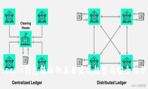 Litecoin钱包转账的未来发展趋势与安全性分析