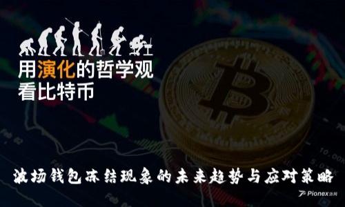 波场钱包冻结现象的未来趋势与应对策略