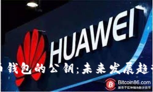 如何查看比特币钱包的公钥：未来发展趋势与安全性解析