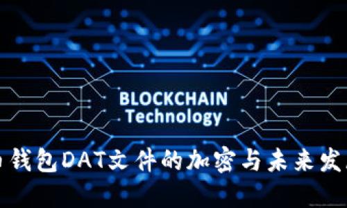 比特币钱包DAT文件的加密与未来发展趋势