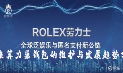 未来算力巢钱包的维护与发展趋势分析
