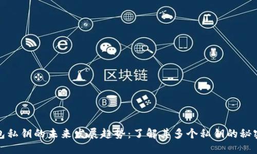 比特币钱包私钥的未来发展趋势：了解其多个私钥的秘密与安全性
