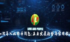 如何导入比特币钱包：未