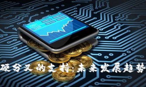 火币钱包对BCH硬分叉的支持：未来发展趋势与用户价值分析