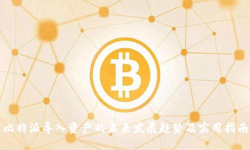 比特派导入资产的未来发展趋势及实用指南