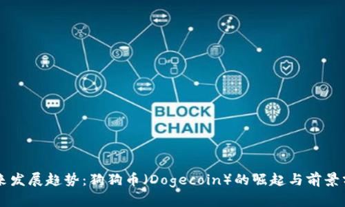 未来发展趋势：狗狗币（Dogecoin）的崛起与前景分析