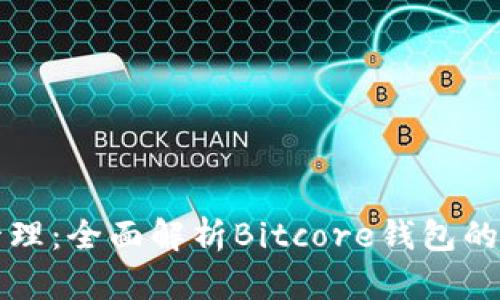 未来数字资产管理：全面解析Bitcore钱包的下载与发展趋势