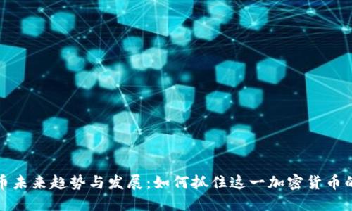 狗狗币未来趋势与发展：如何抓住这一加密货币的机会