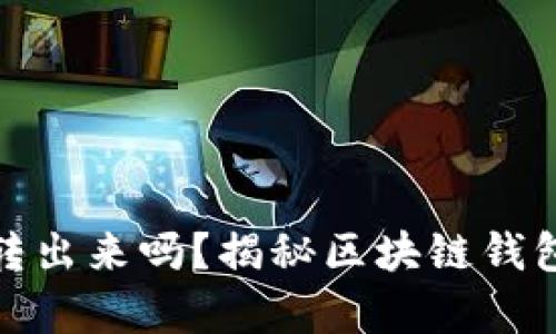观察钱包里的币能转出来吗？揭秘区块链钱包的安全与转账机制