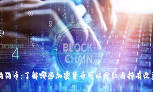 狗狗币：了解哪些加密货币可以分红与持有收益