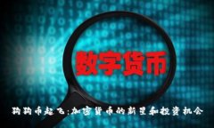 狗狗币起飞：加密货币的