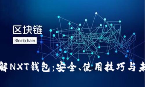 全面了解NXT钱包：安全、使用技巧与未来发展
