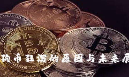 狗狗币狂泻的原因与未来展望