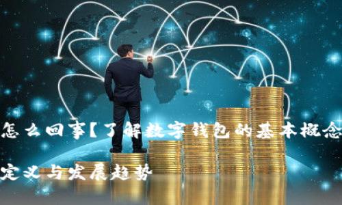 数字钱包是怎么回事？了解数字钱包的基本概念与未来趋势

数字钱包的定义与发展趋势