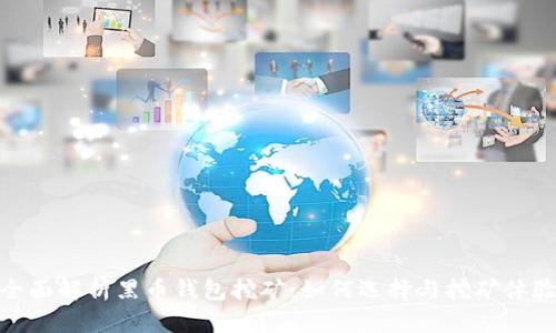 全面解析黑币钱包挖矿:如何选择与挖矿体验