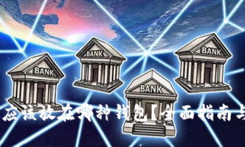 USDT应该放在哪种钱包?全面指南与建议