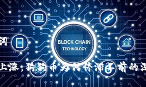 和关键词

比特币上涨，狗狗币为何停滞不前的深度分析