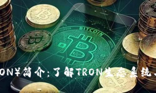 波场币（TRON）简介：了解TRON生态系统与未来发展
