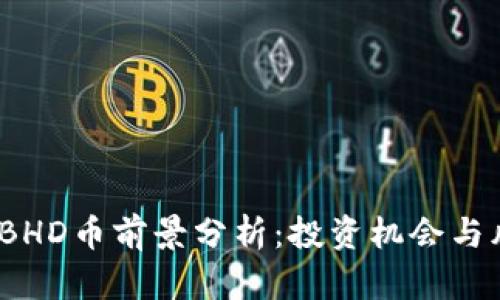 2023年BHD币前景分析：投资机会与风险评估