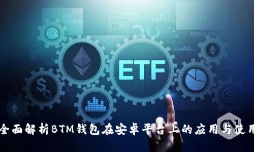 全面解析BTM钱包在安卓平台上的应用与使用