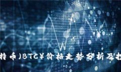 今日比特币（BTC）价格走势分析及投资指南
