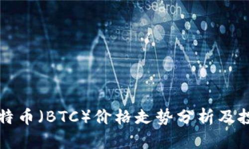 今日比特币（BTC）价格走势分析及投资指南