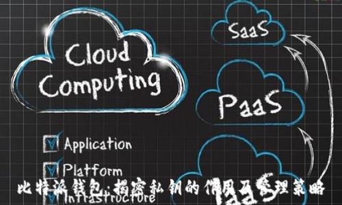   
比特派钱包：揭密私钥的作用及管理策略