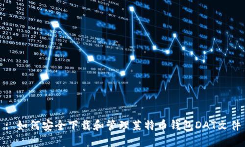 : 如何安全下载和管理莱特币钱包DAT文件