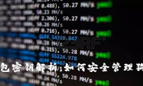 狗狗币钱包密钥解析：如何安全管理狗狗币密钥
