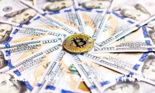 中本聪与比特币：揭开数字货币的神秘面纱