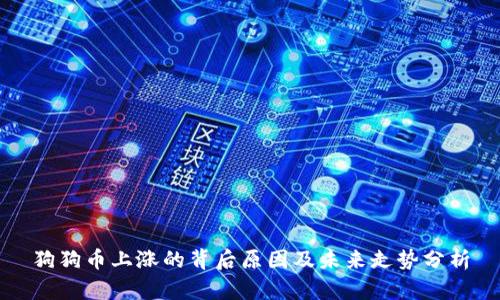 狗狗币上涨的背后原因及未来走势分析